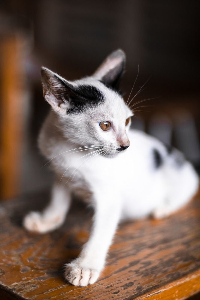 Фотография автора Andy Nguyen