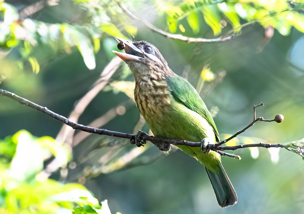 Photograph by Mahesh Krishna