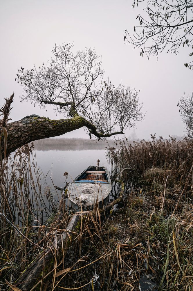 Photograph by Сергей