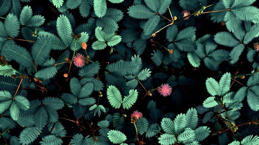 Photograph by Aayush Jivani