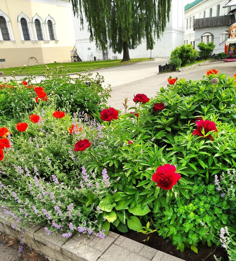 Photograph by Анна Виноградова