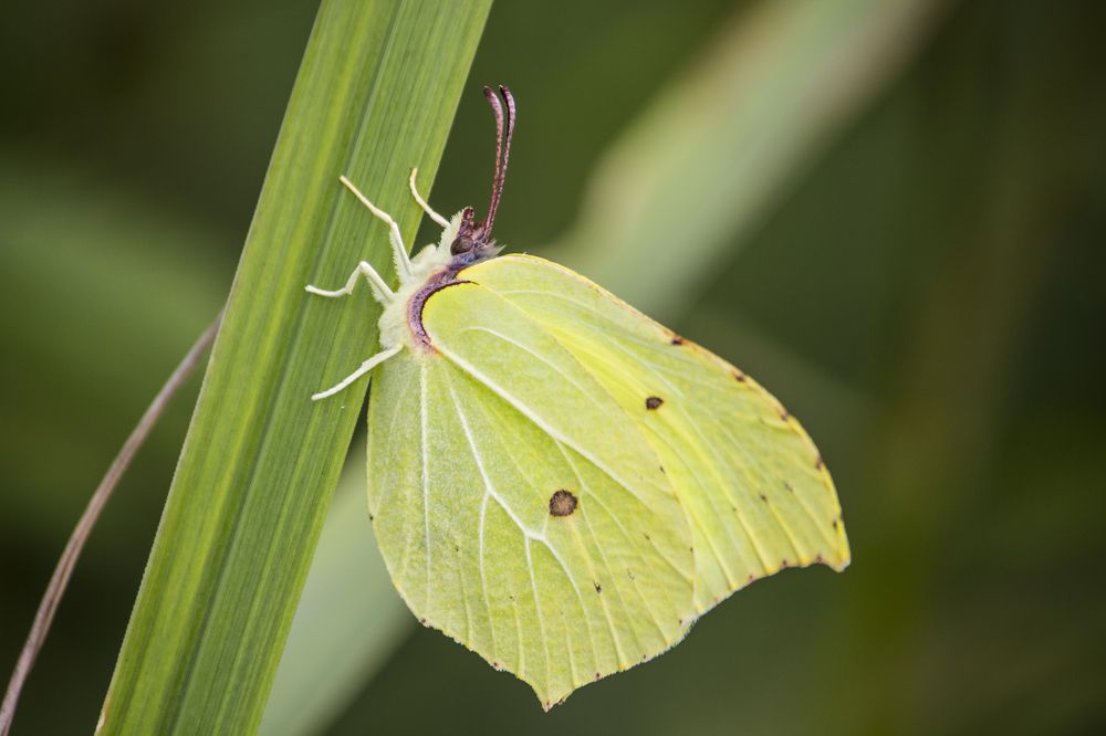 Photograph by Юлия Серазетдинова