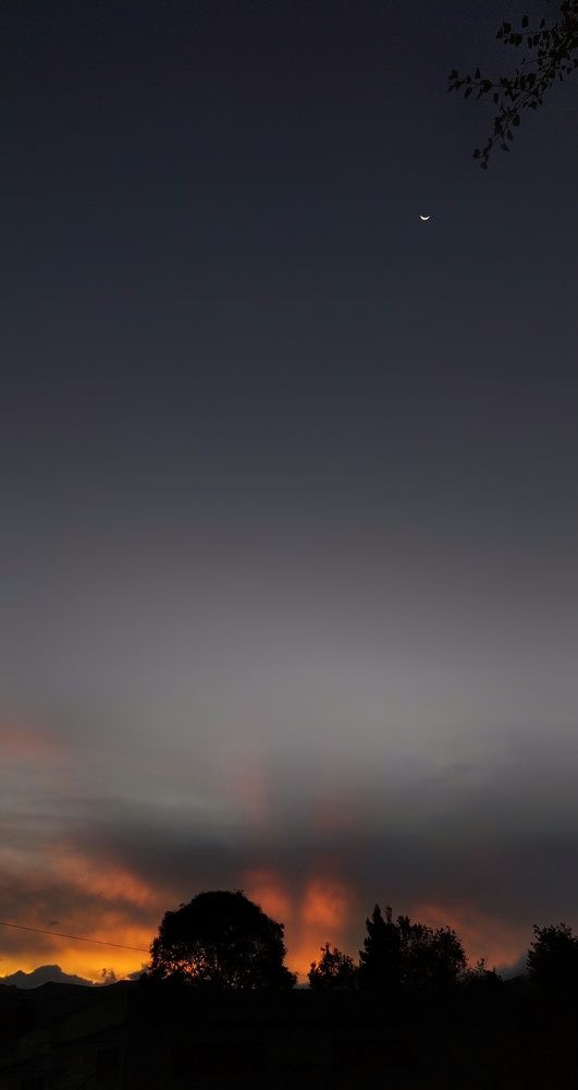 Photograph by Genesis Vivas