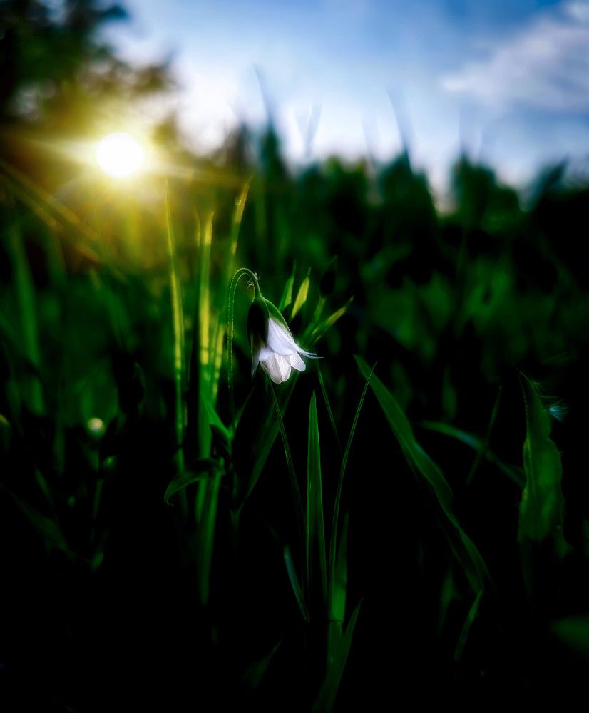 Photograph by Светлана Перминова