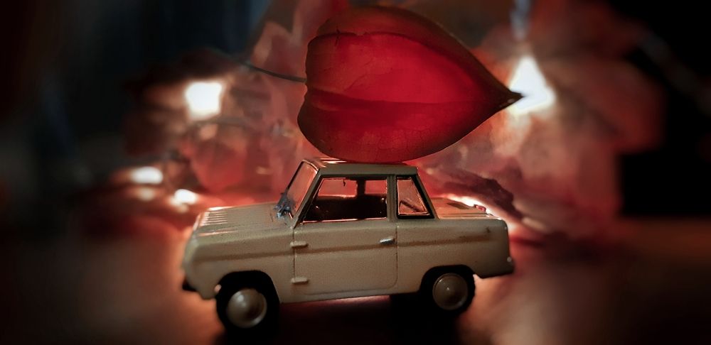 Photograph by Елена Твардовськая