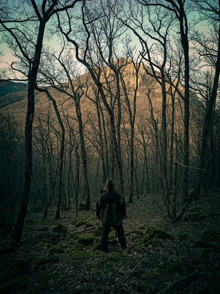 Photograph by Владимир Кашин