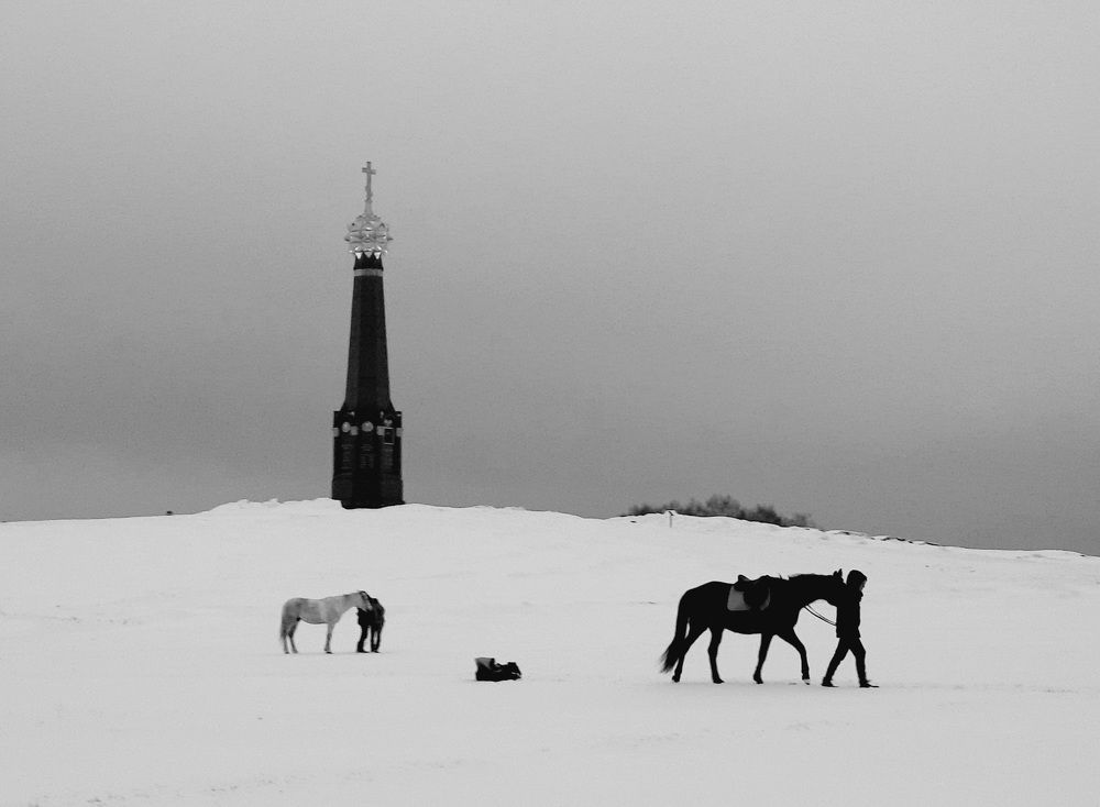 Photograph by Суетинов Евгений