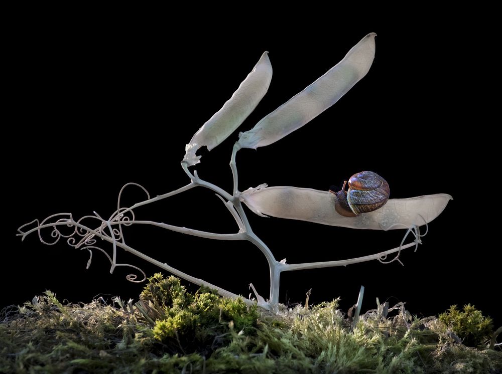 Фотография автора Черновол Валентин