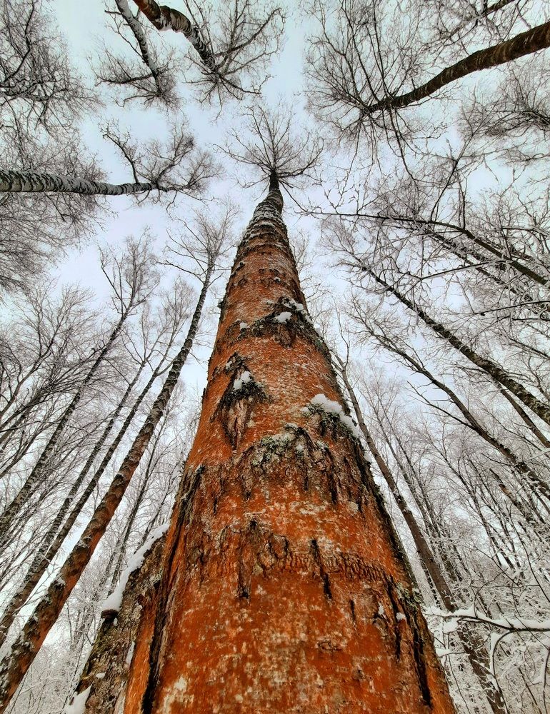 Photograph by Суетинов Евгений