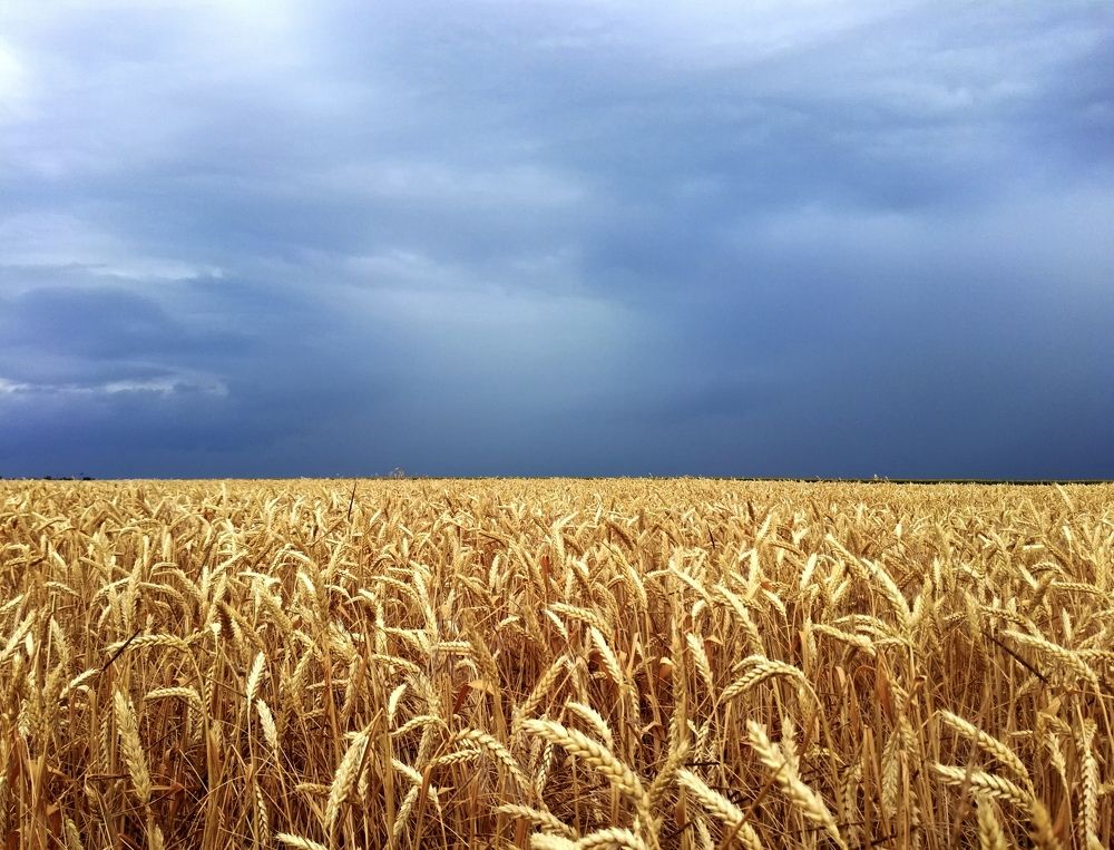 Photograph by Антон