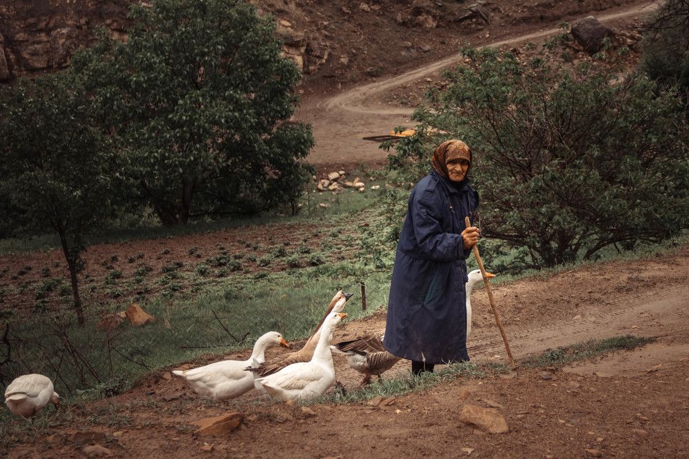 Photograph by Ирина