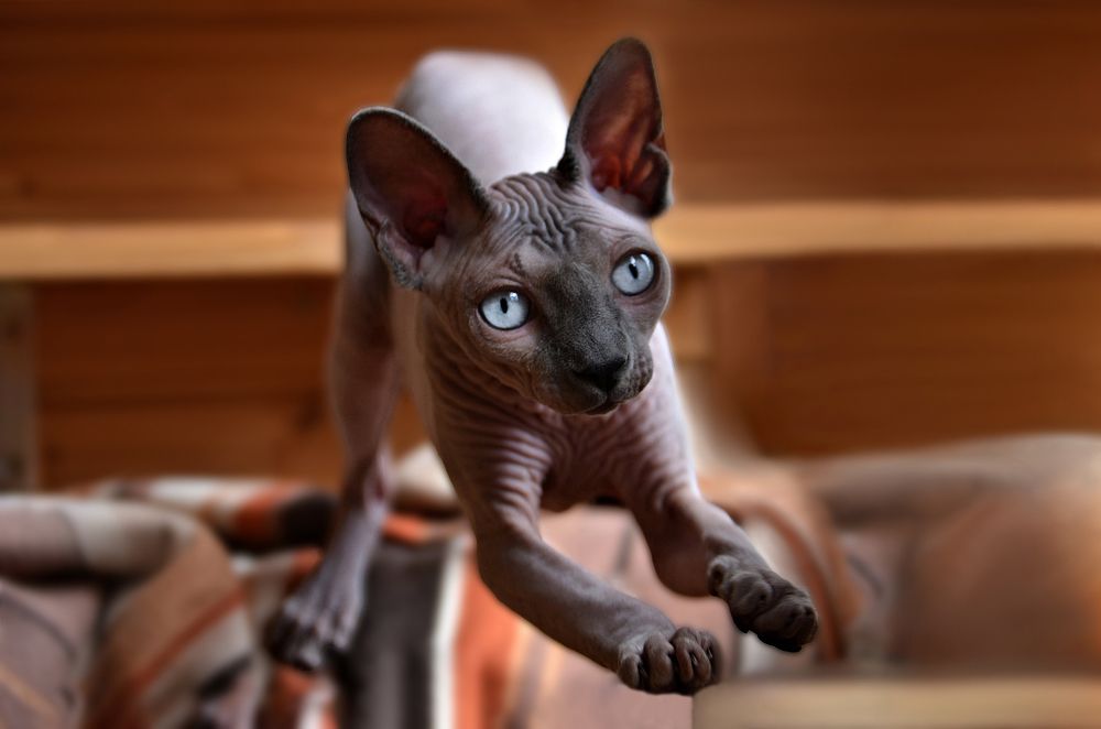 Фотография автора Mila Prophoto