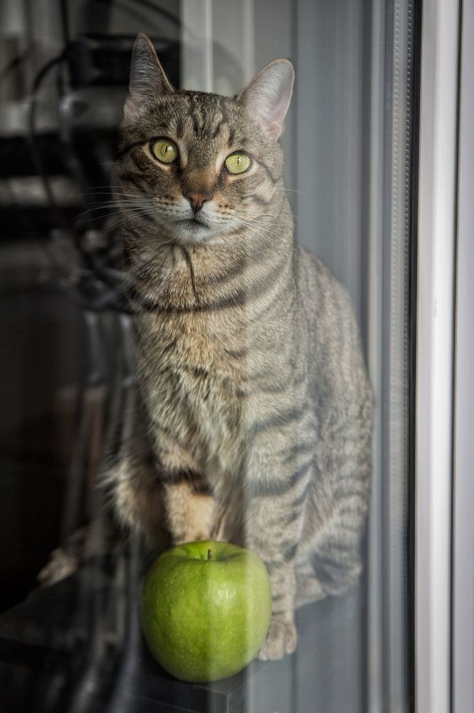 Photograph by Елена Андреева