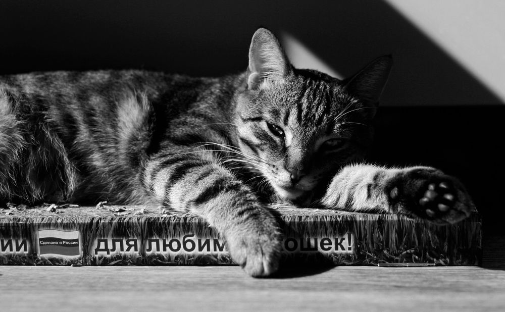 Photograph by Елена Андреева