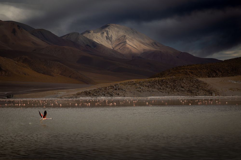 Photograph by Javier Benitez