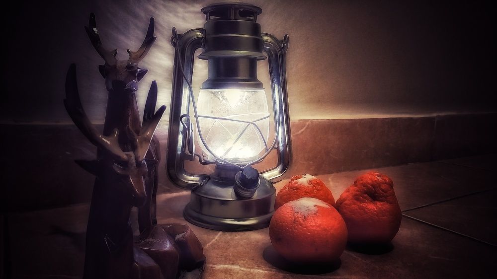 Photograph by shahin foroughi