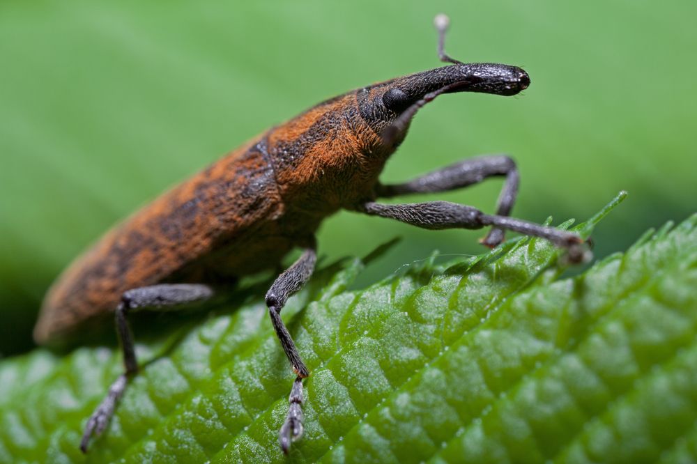 Photograph by Юлия Шаля