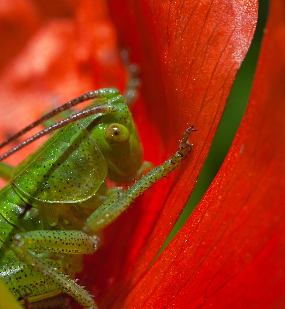 Photograph by Юлия Шаля