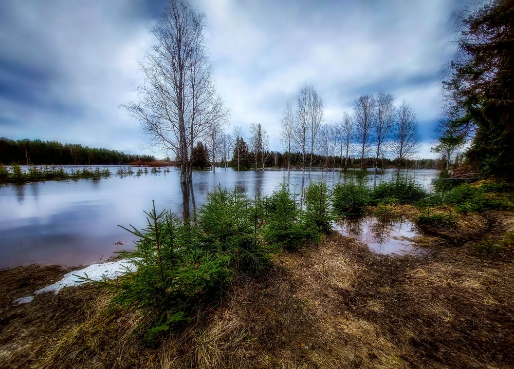 Photograph by Светлана Перминова