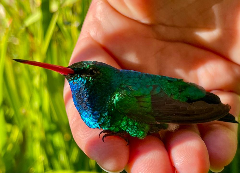 Photograph by Leonor