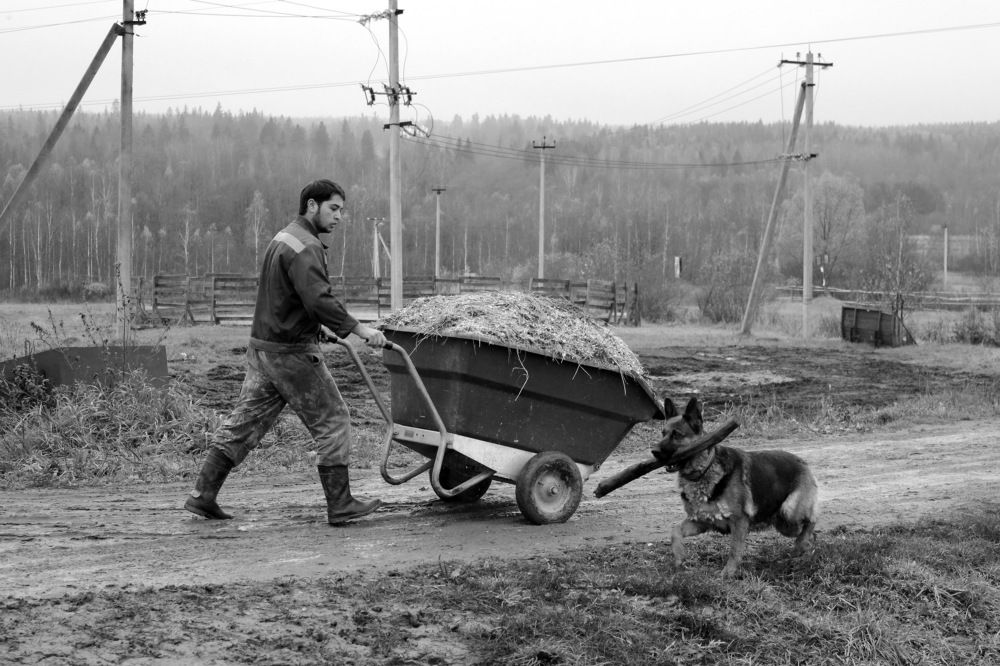 Фотография автора Julia Savelkina