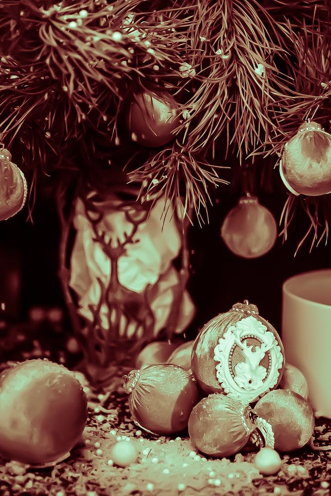 Фотография автора Алиса Чурчудесная