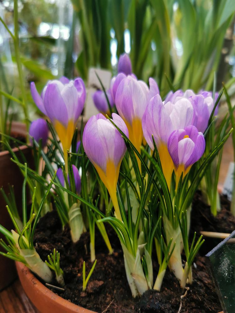 Photograph by Елена Иванова