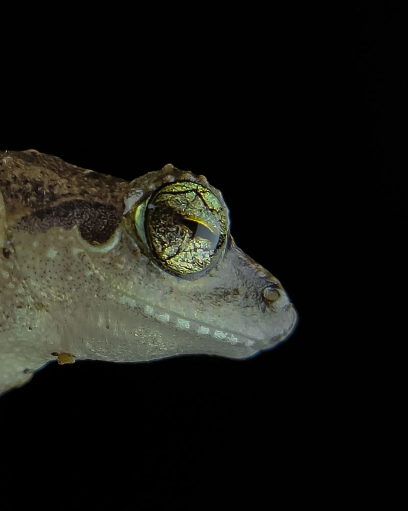 Photograph by Anandu S nair