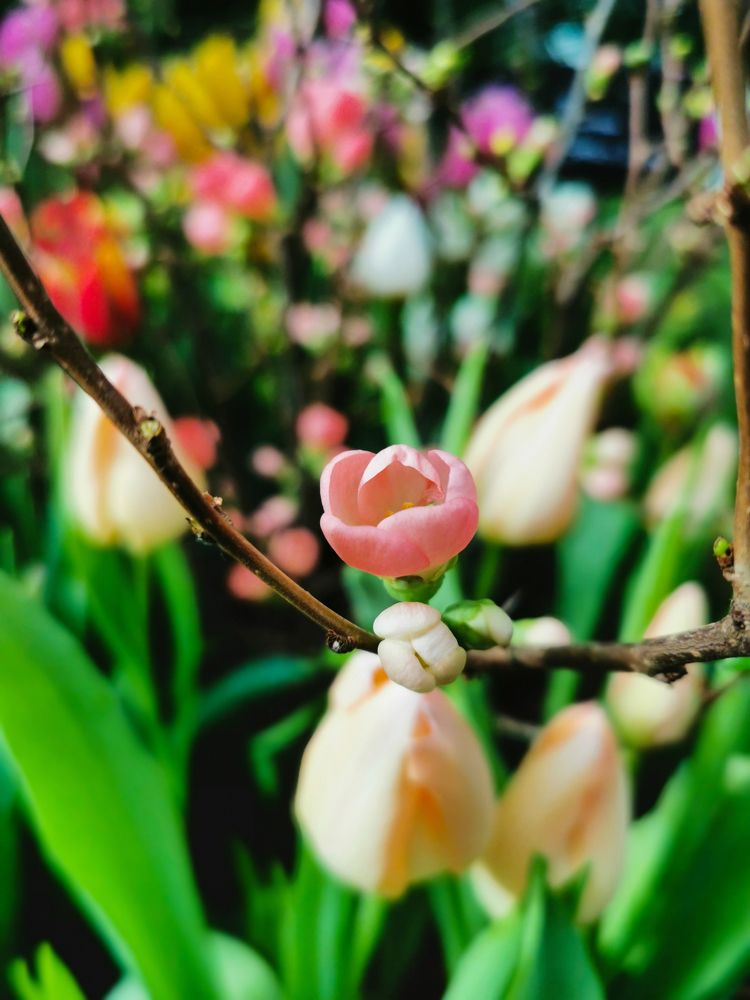 Photograph by Елена Иванова