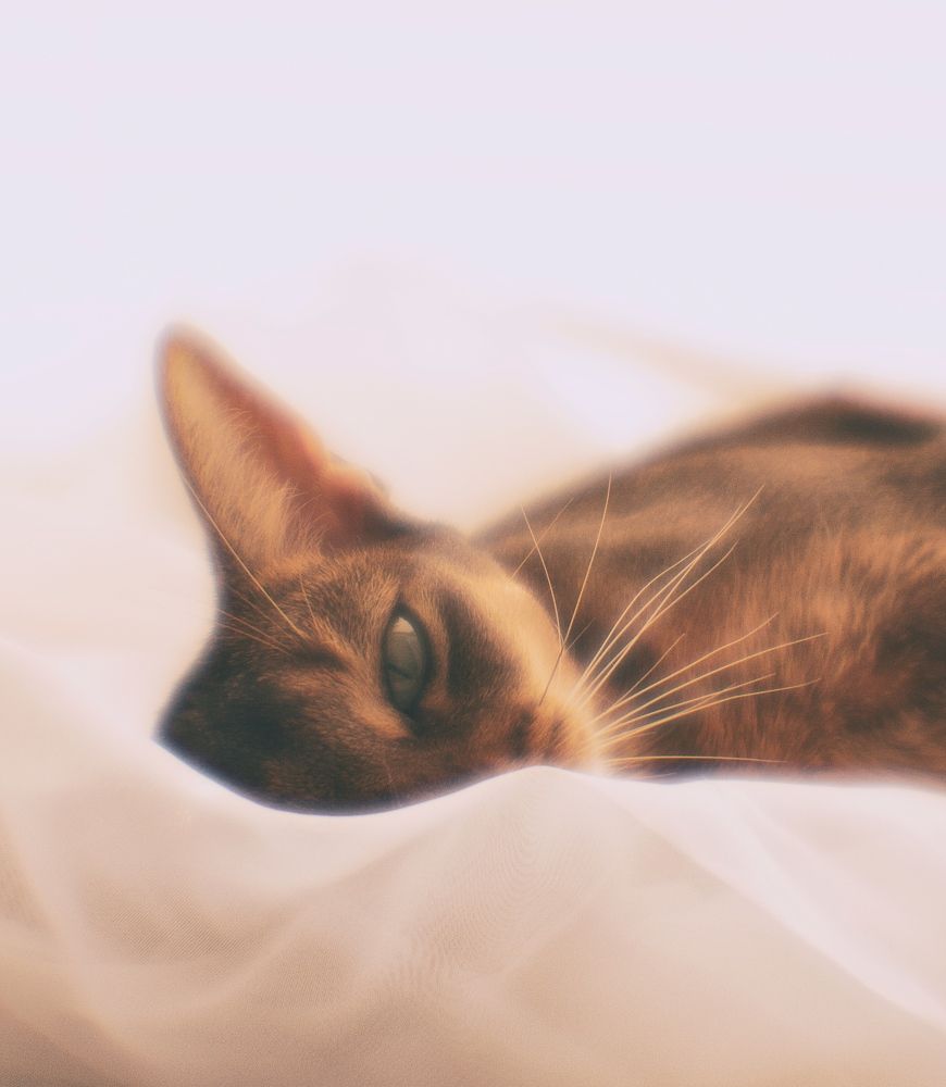 Photograph by Янтарная Елена