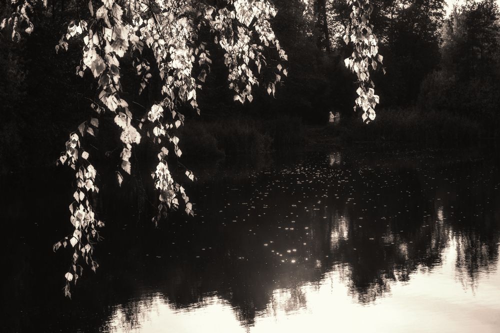 Photograph by Владимир Штыриков