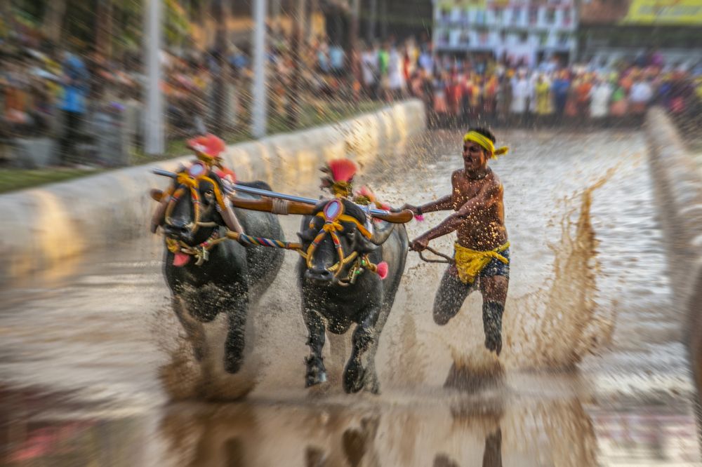 Photograph by LOKANATH MUDA