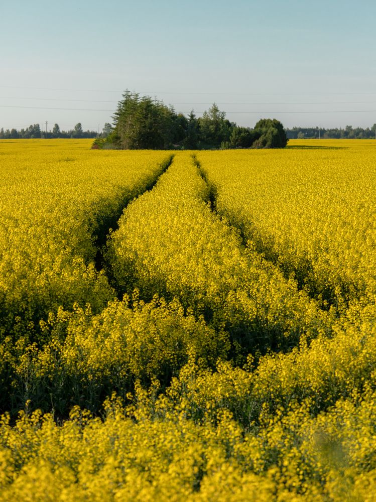 Photograph by Наталья Брюхненко