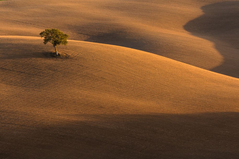 Photograph by Евгения Чех