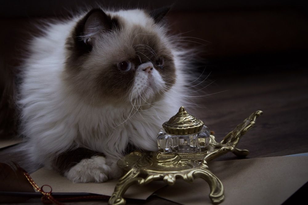 Photograph by Татьяна Симон