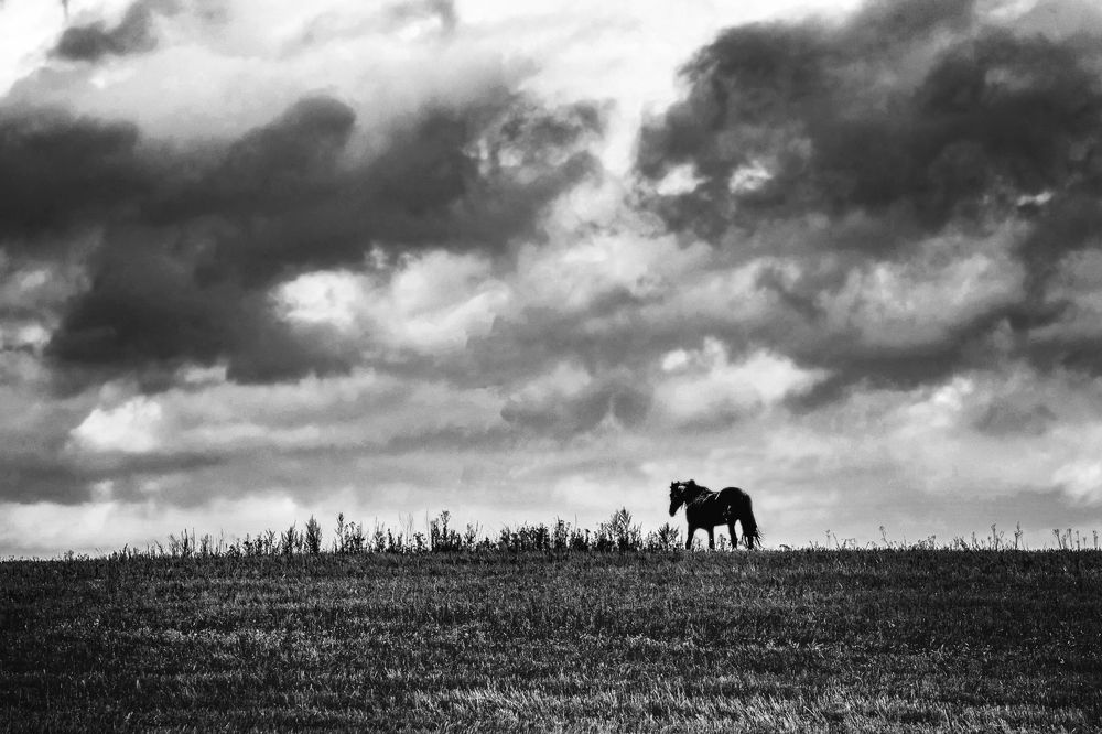 Photograph by Владимир Штыриков