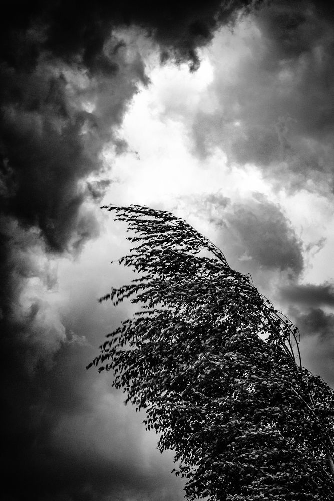 Photograph by Владимир Штыриков