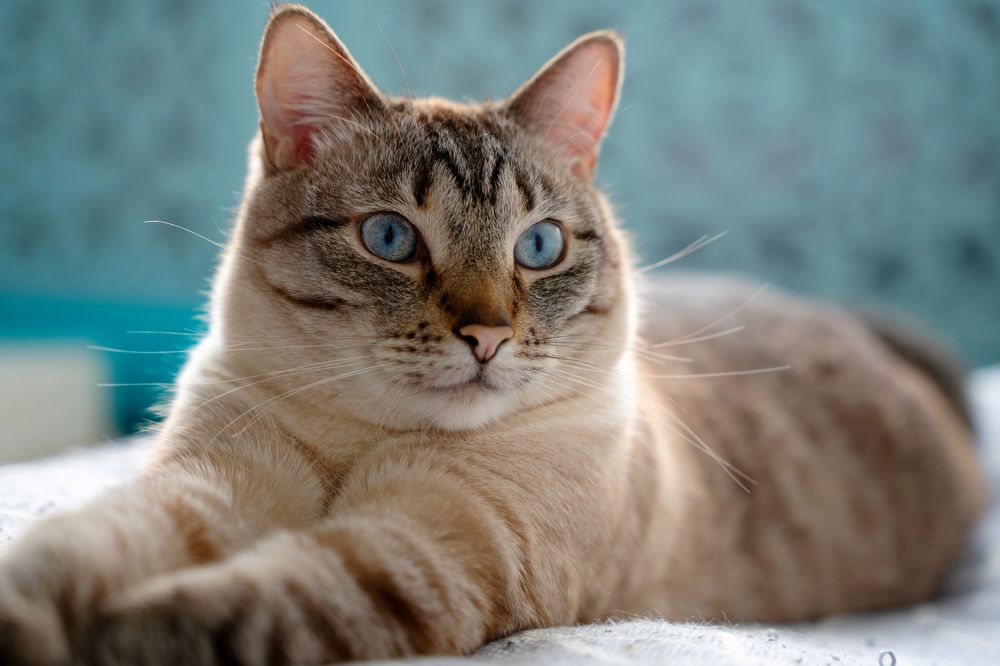 Photograph by Мария Акимова