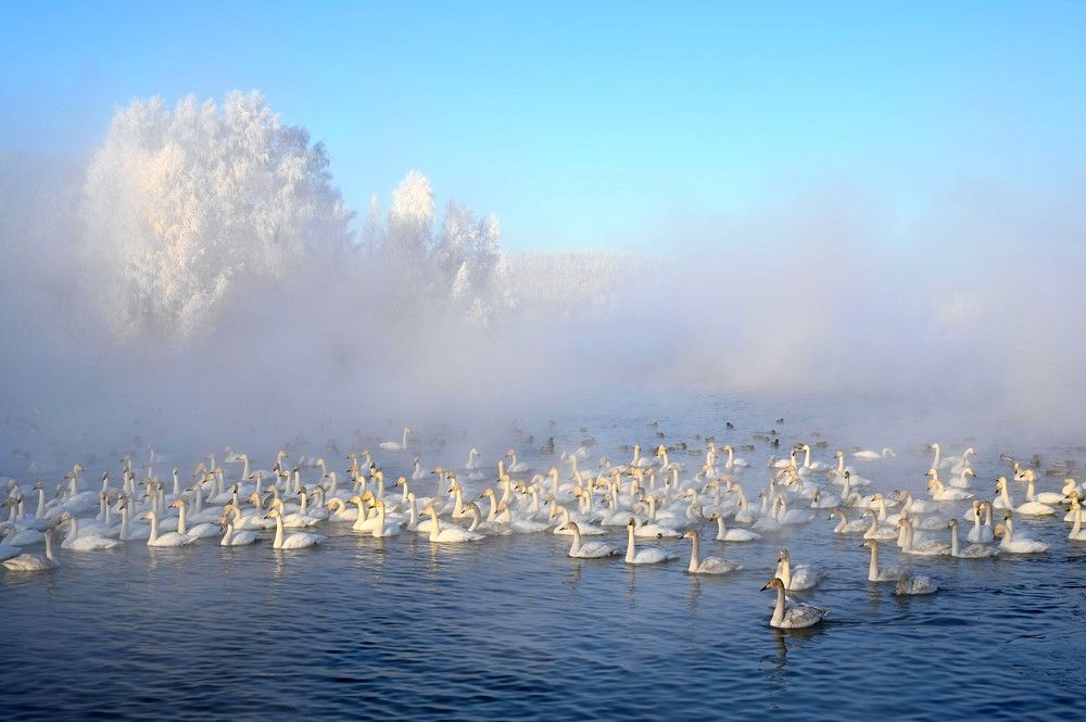 Photograph by Ирина Круглова