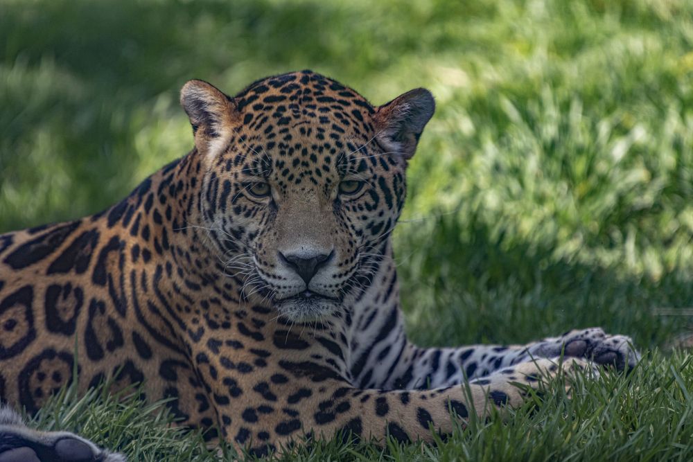 Photograph by Aлена Плясова