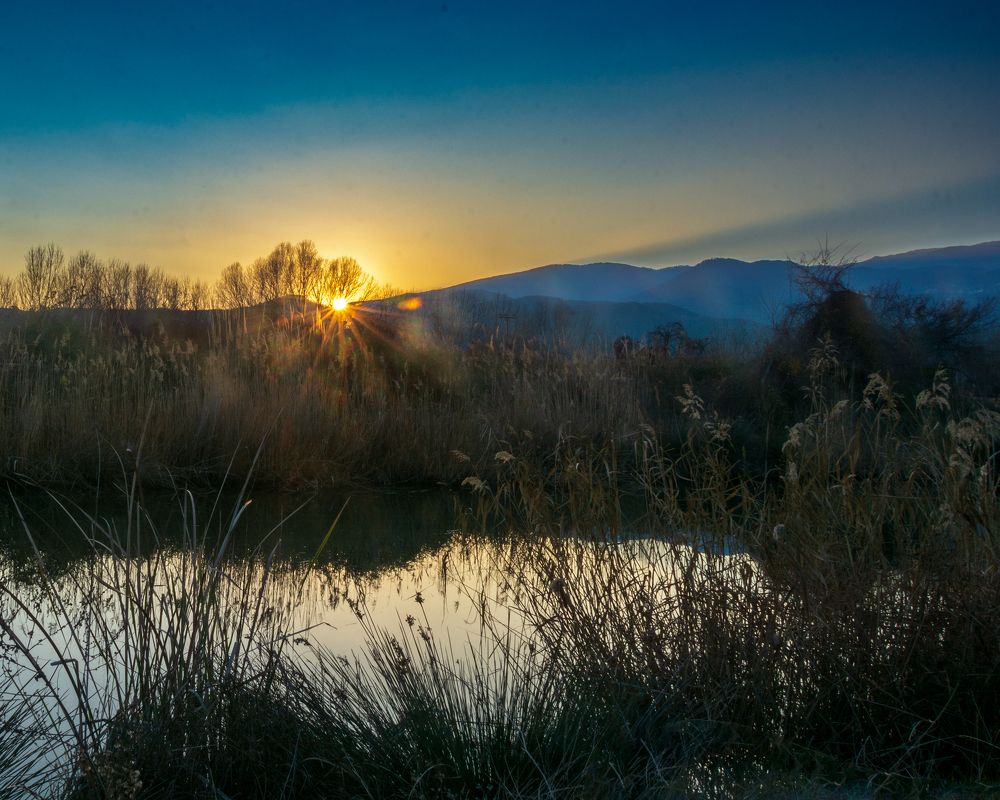 Photograph by АЛЛА ЗВЯГИНА