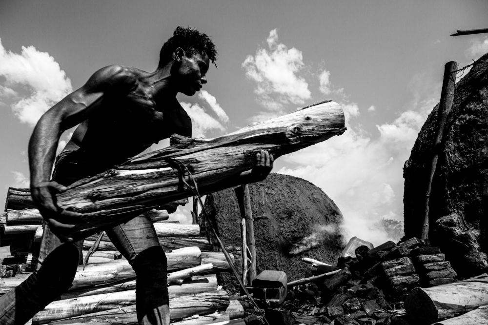 Photograph by FLAVIO SOUZA CRUZ