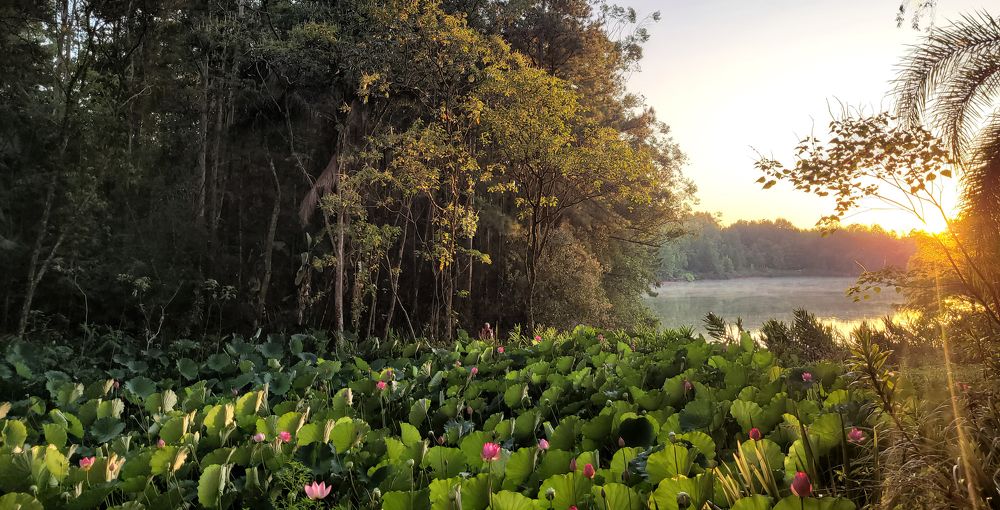 Photograph by Rodrigo Ramos