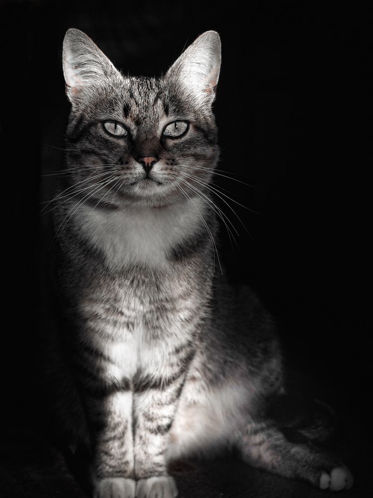 Photograph by Ольга Еженевская