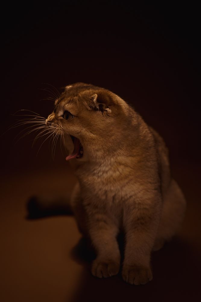 Photograph by Екатерина Ревина