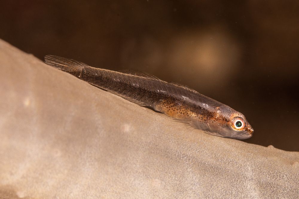 Photograph by Rodrigo Gavilan