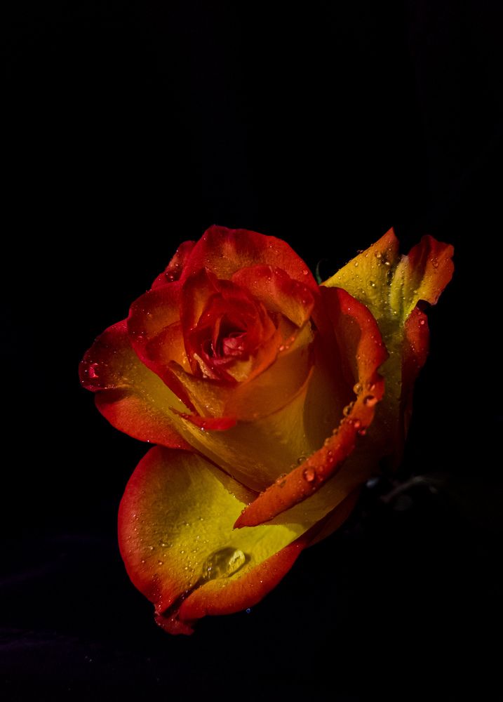 Photograph by Алексей Крукович