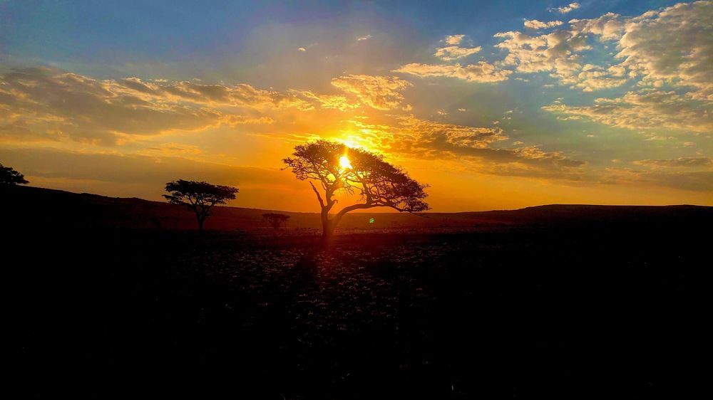 Photograph by Lian van den Heever