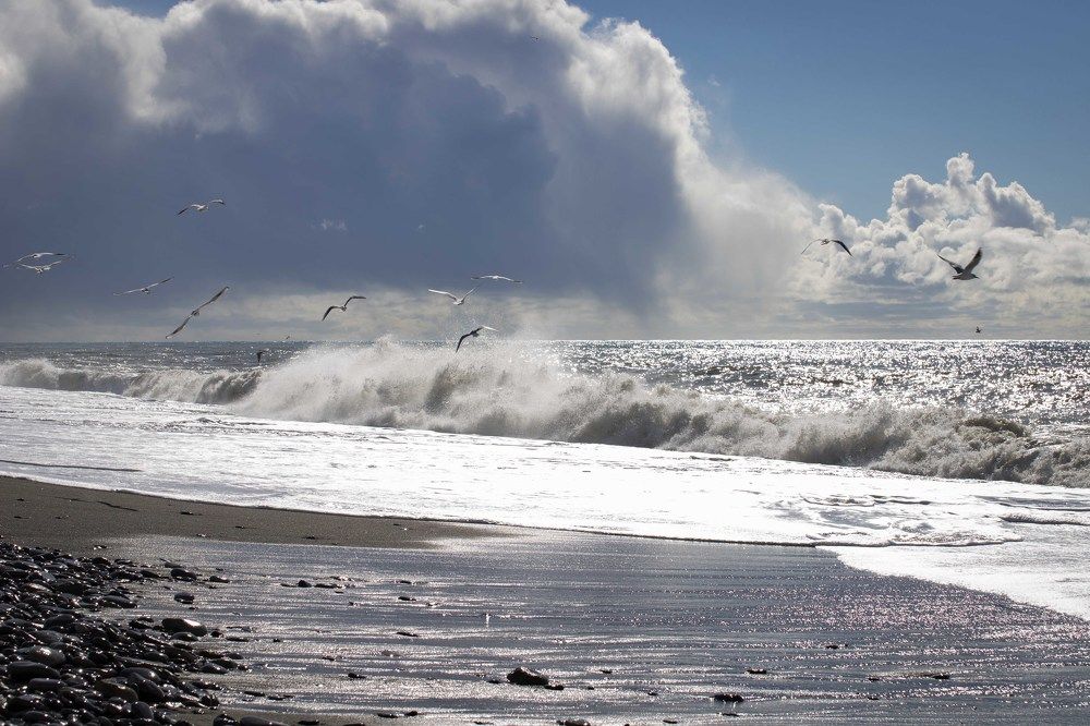 Photograph by Екатерина Рябинина