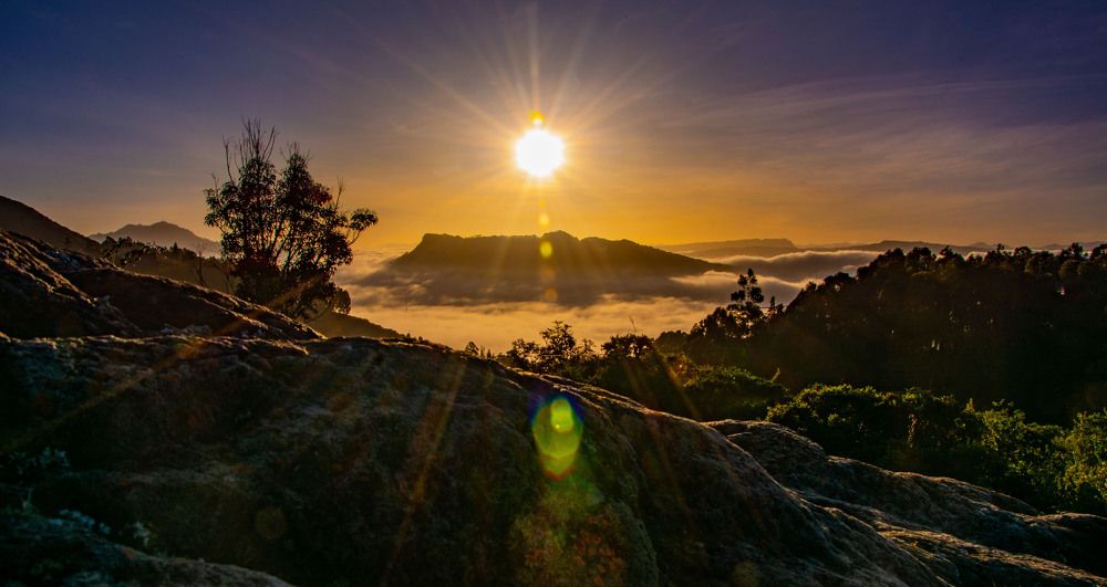 Photograph by Mario Pedraza